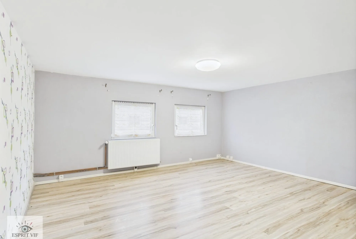 Immeuble rénové avec duplex et appartement indépendant à Vic-sur-Seille 