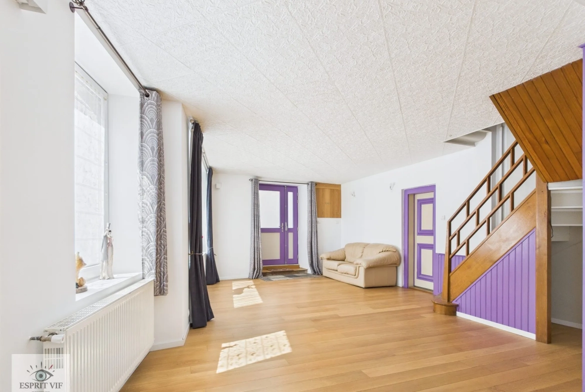 Immeuble rénové avec duplex et appartement indépendant à Vic-sur-Seille 