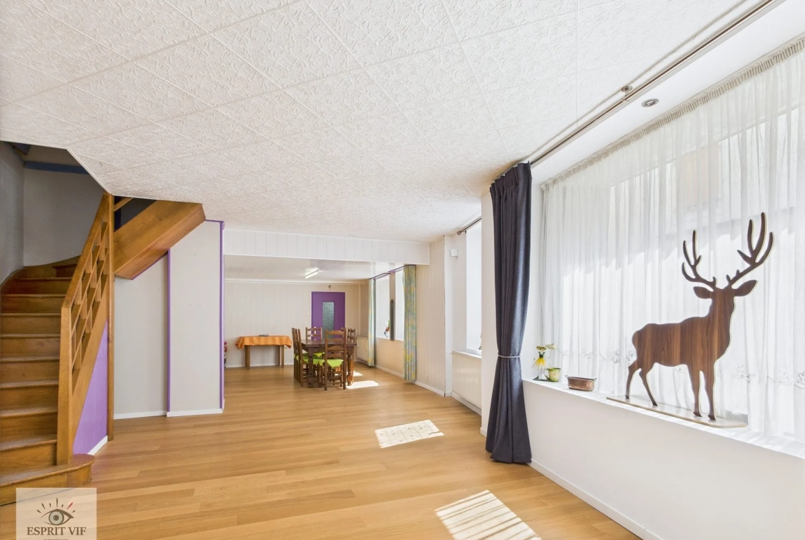 Immeuble rénové avec duplex et appartement indépendant à Vic-sur-Seille 