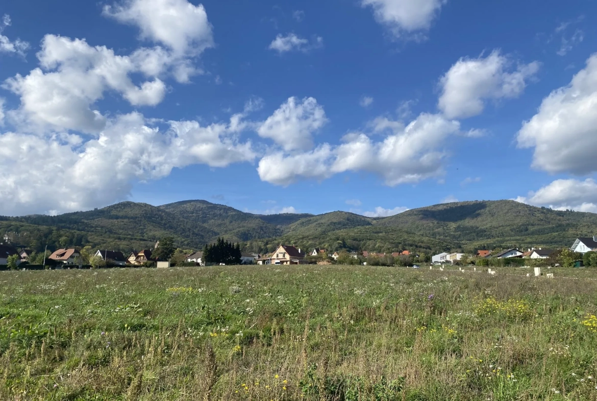 Appartement 2 pièces avec terrasse à Wattwiller, Haut-Rhin 68700 