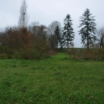Terrain constructible de 780 m² à Saint-Corneille, idéal pour votre future maison