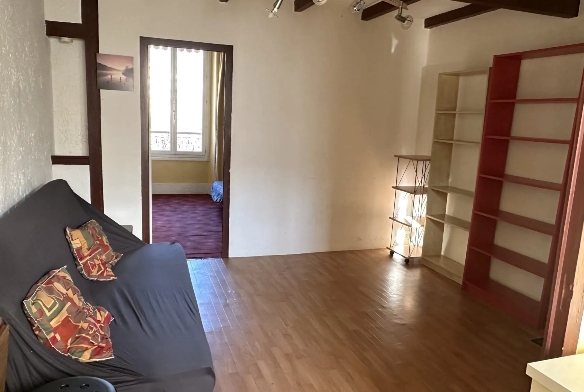 Appartement T2 traversant de 35,3 m² à Grenoble avec cave et galetas 