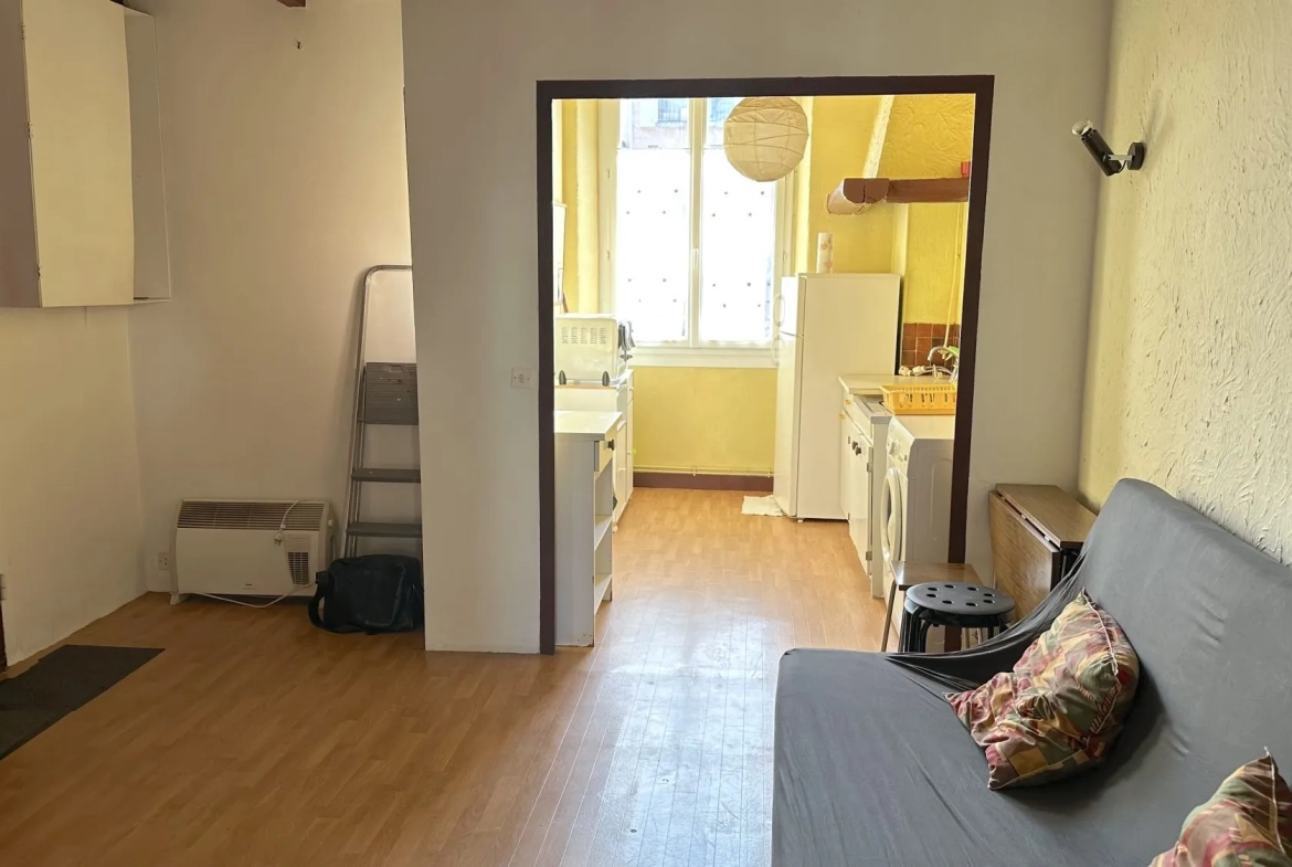 Appartement T2 traversant de 35,3 m² à Grenoble avec cave et galetas 