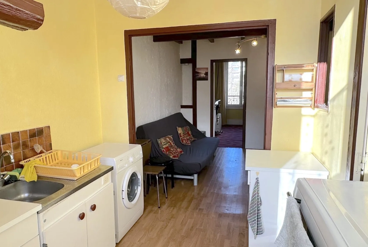 Appartement T2 traversant de 35,3 m² à Grenoble avec cave et galetas 