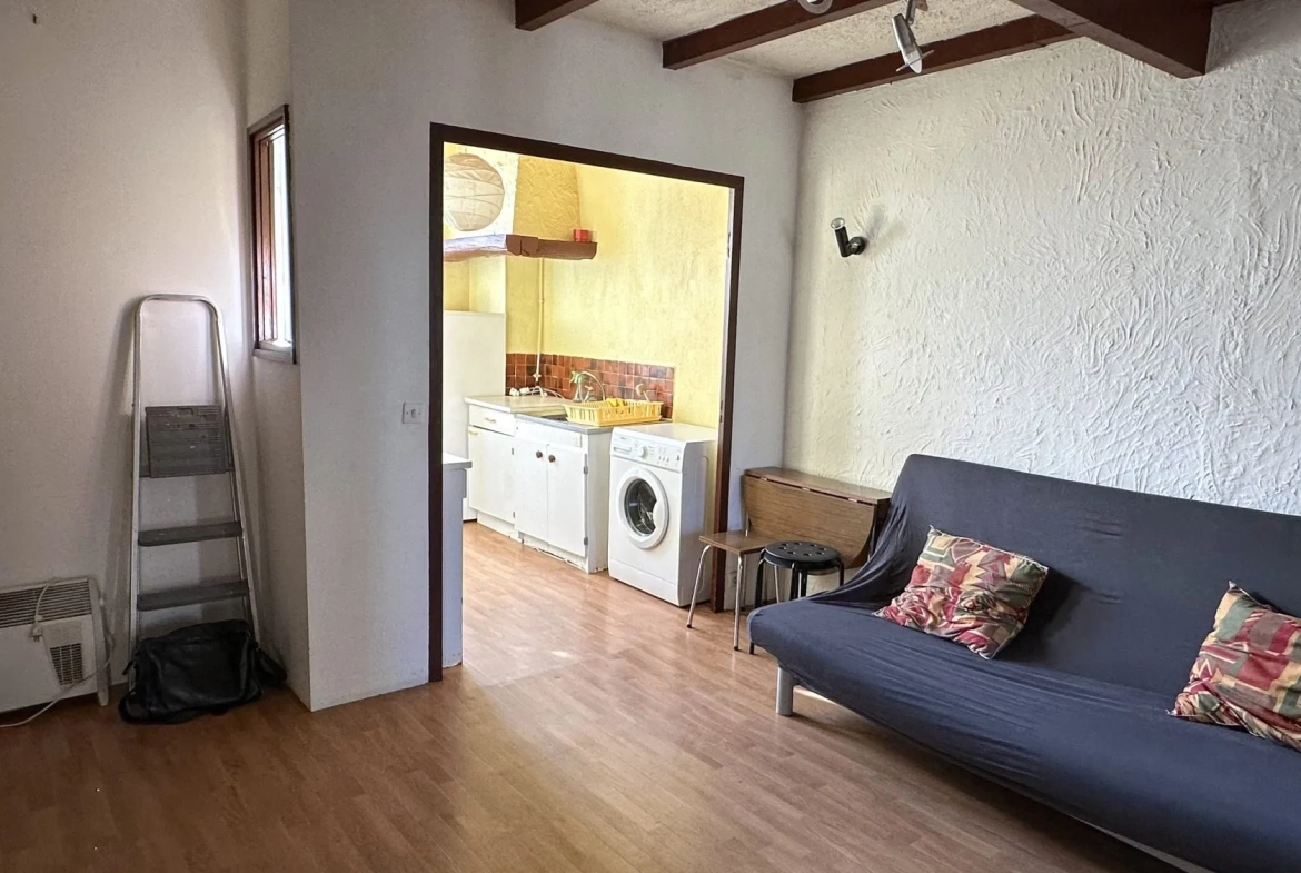 Appartement T2 traversant de 35,3 m² à Grenoble avec cave et galetas 