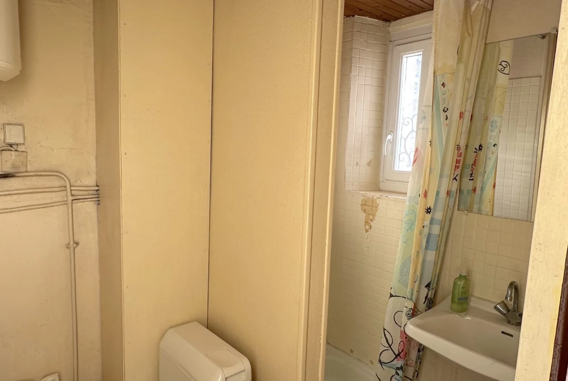 Appartement T2 traversant de 35,3 m² à Grenoble avec cave et galetas 