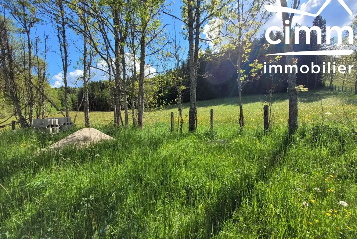 Plateau à aménager de 100 m² avec jardin et garage à La Chapelle-en-Vercors 