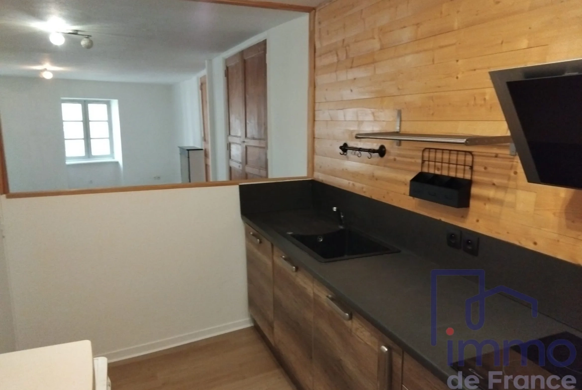 Appartement duplex lumineux de 82 m² à Le Puy-en-Velay - Investissement ou Primo-Accédant 