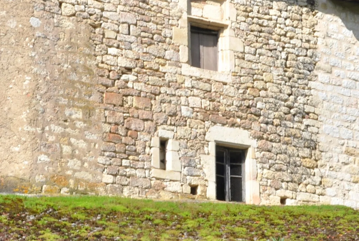 Grande bâtisse médiévale à rénover à Cestayrols, Tarn 