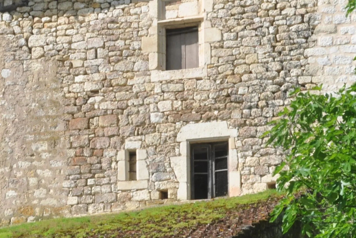 Grande bâtisse médiévale à rénover à Cestayrols, Tarn 