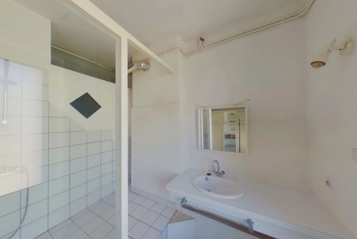 À vendre appartement T2 spacieux et lumineux au centre de Saint-Étienne 
