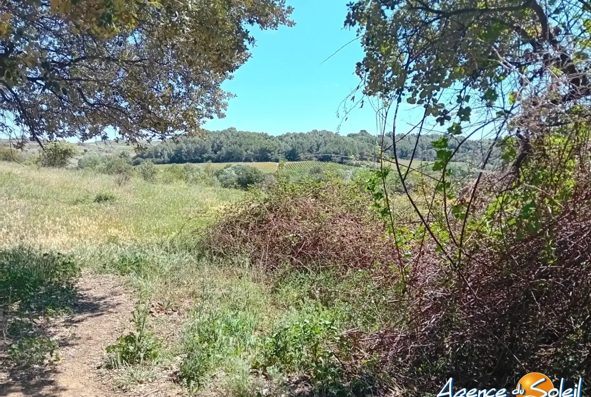Terrain arboré non constructible à Paraza avec permis pour box, opportunité rare 