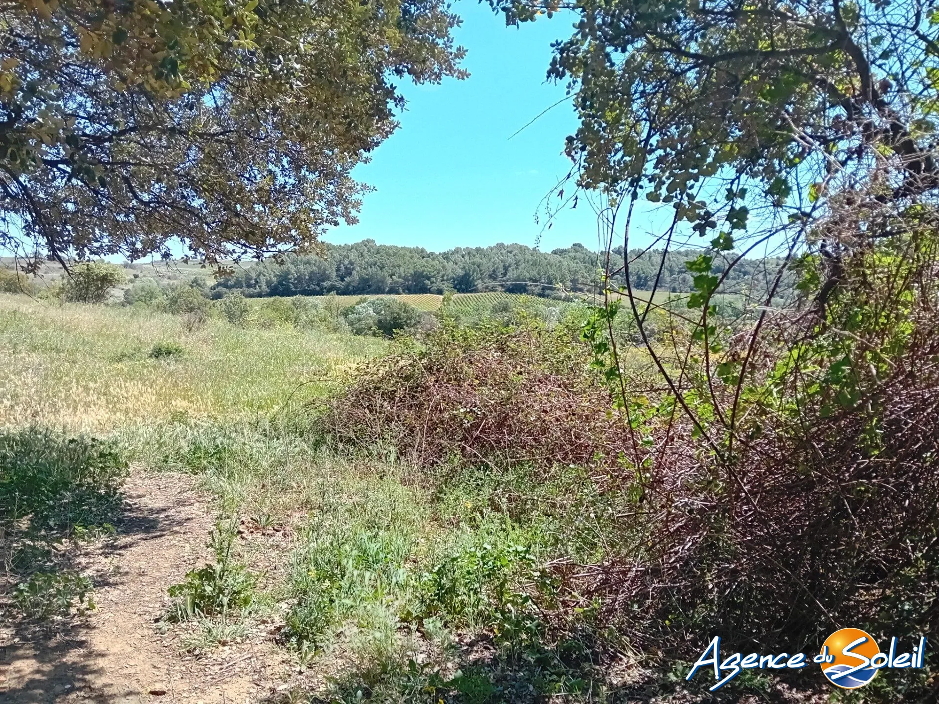 Terrain arboré non constructible à Paraza avec permis pour box, opportunité rare 