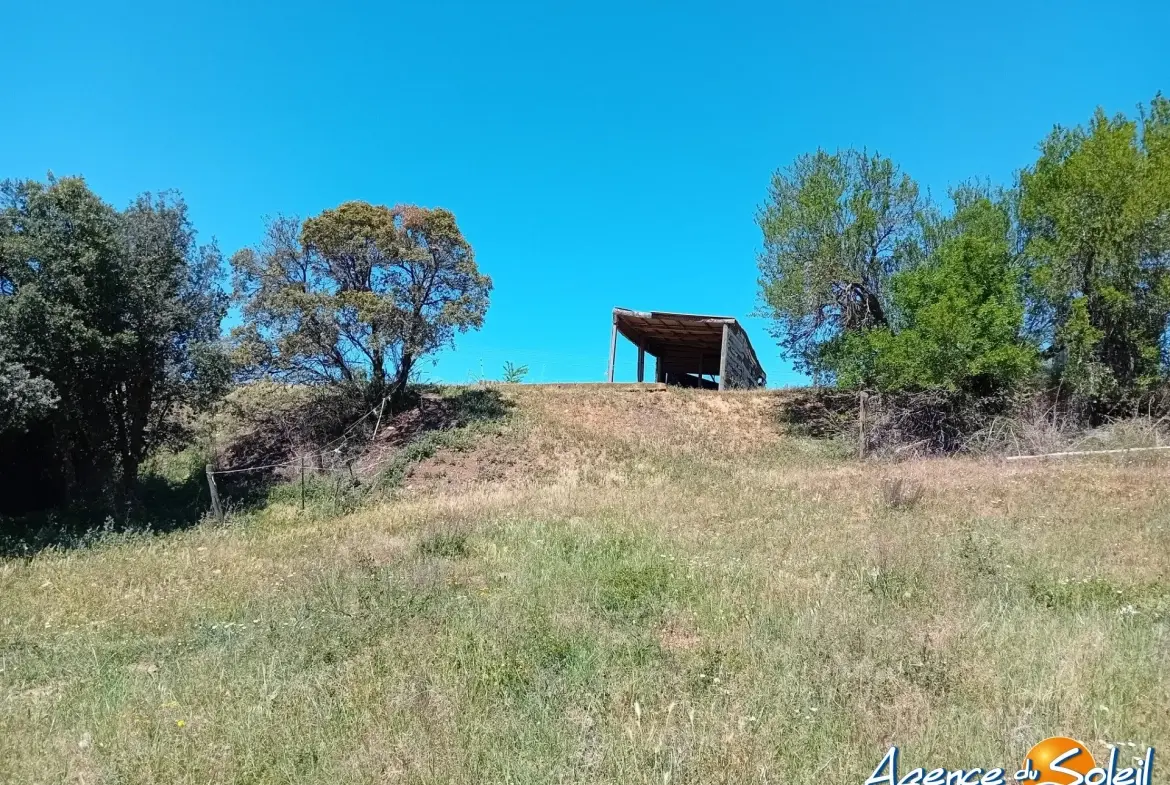 Terrain arboré non constructible à Paraza avec permis pour box, opportunité rare 
