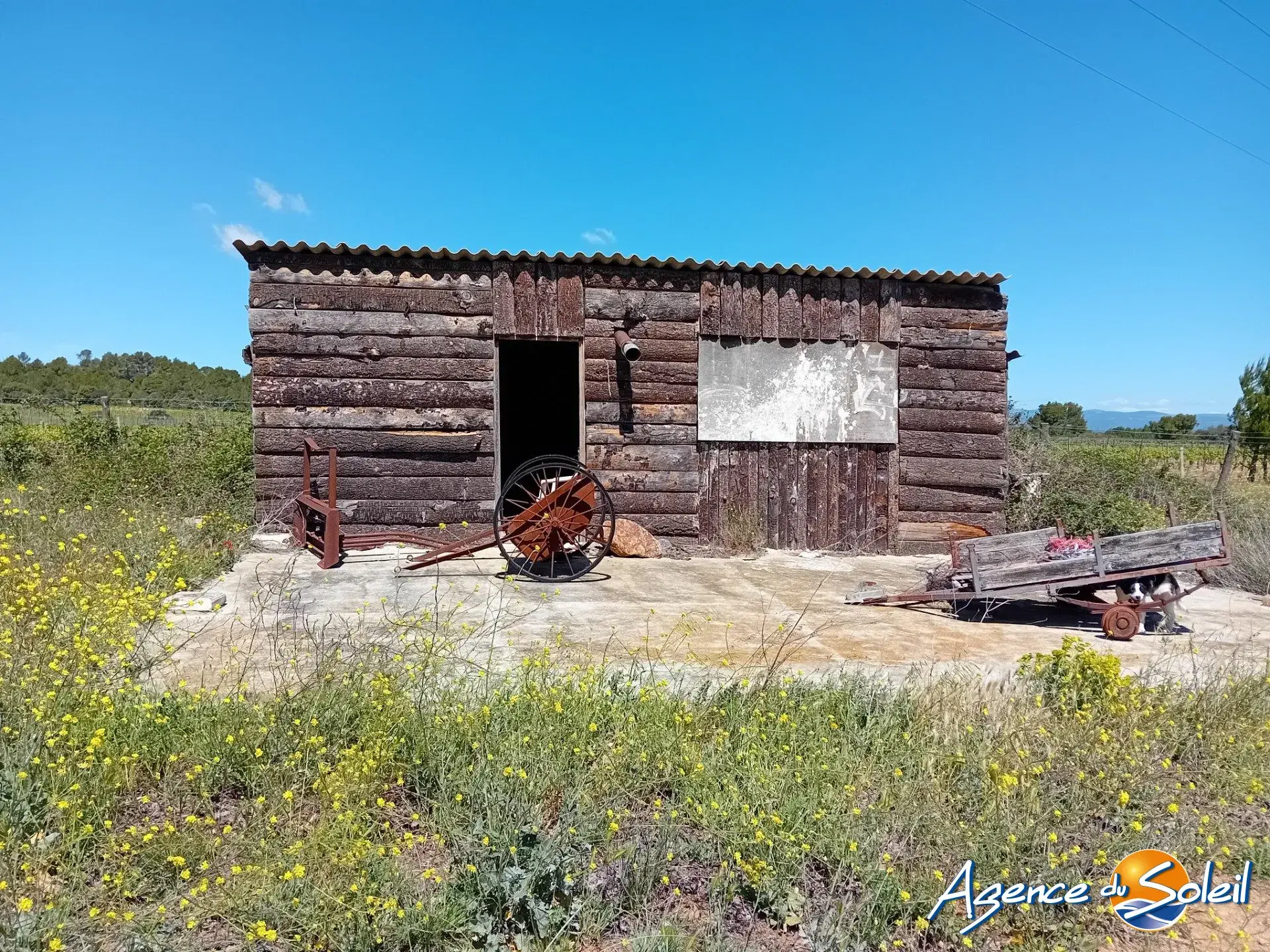 Terrain arboré non constructible à Paraza avec permis pour box, opportunité rare 
