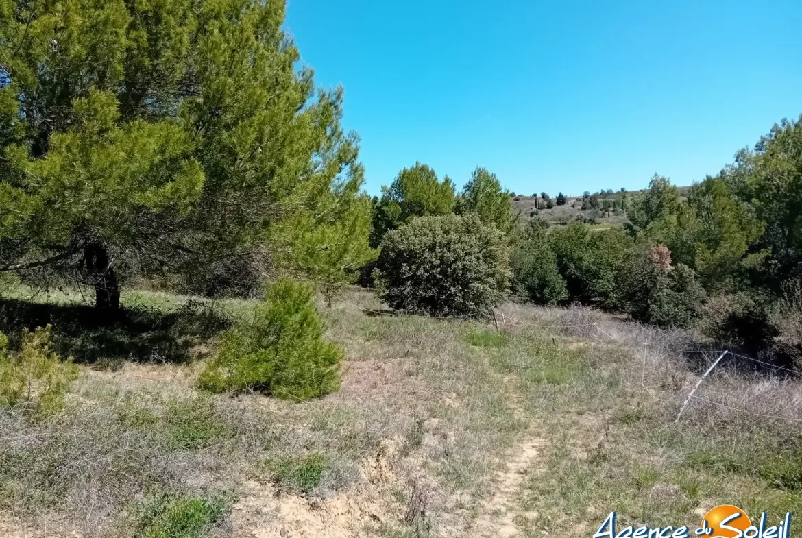 Terrain arboré non constructible à Paraza avec permis pour box, opportunité rare 