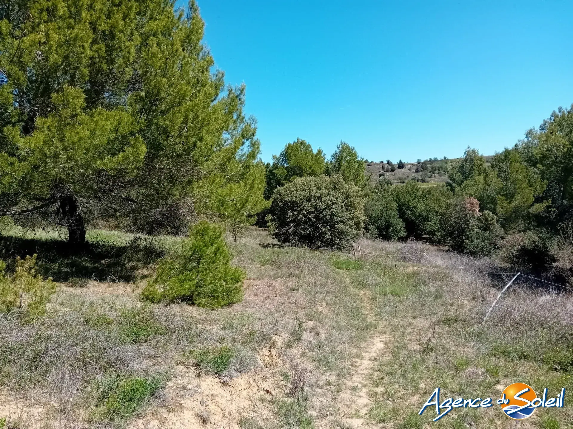 Terrain arboré non constructible à Paraza avec permis pour box, opportunité rare 
