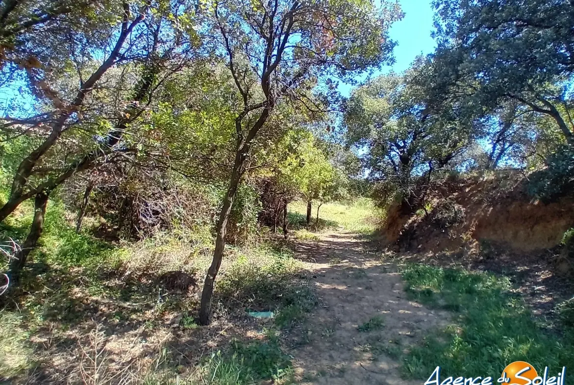 Terrain arboré non constructible à Paraza avec permis pour box, opportunité rare 