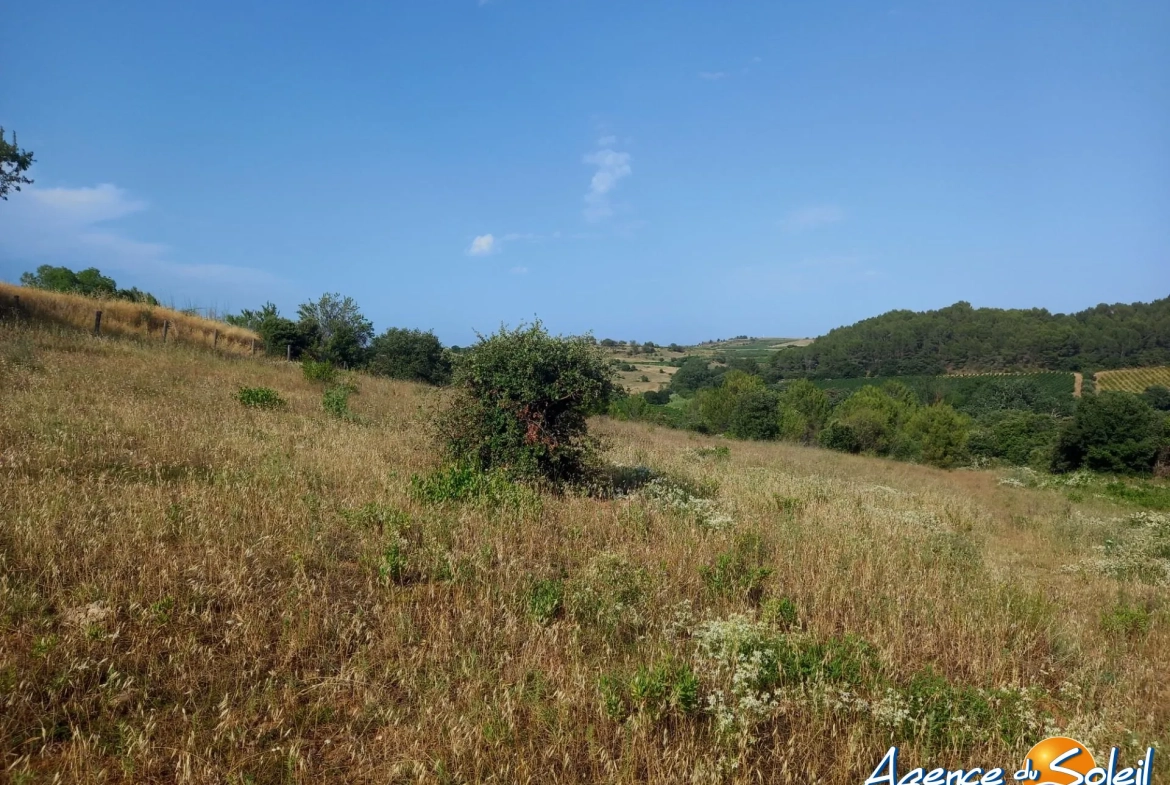 Terrain arboré non constructible à Paraza avec permis pour box, opportunité rare 