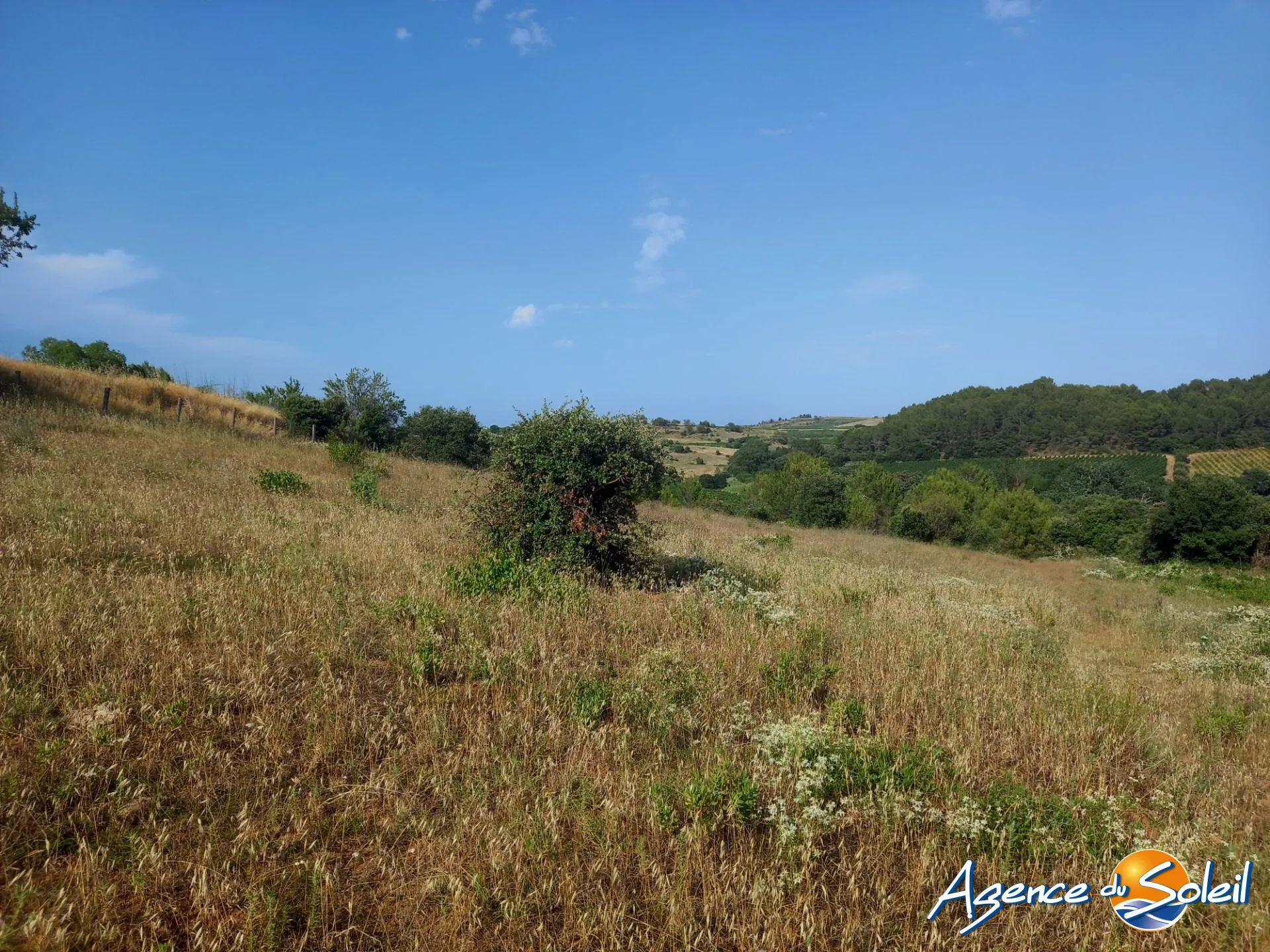 Terrain arboré non constructible à Paraza avec permis pour box, opportunité rare 