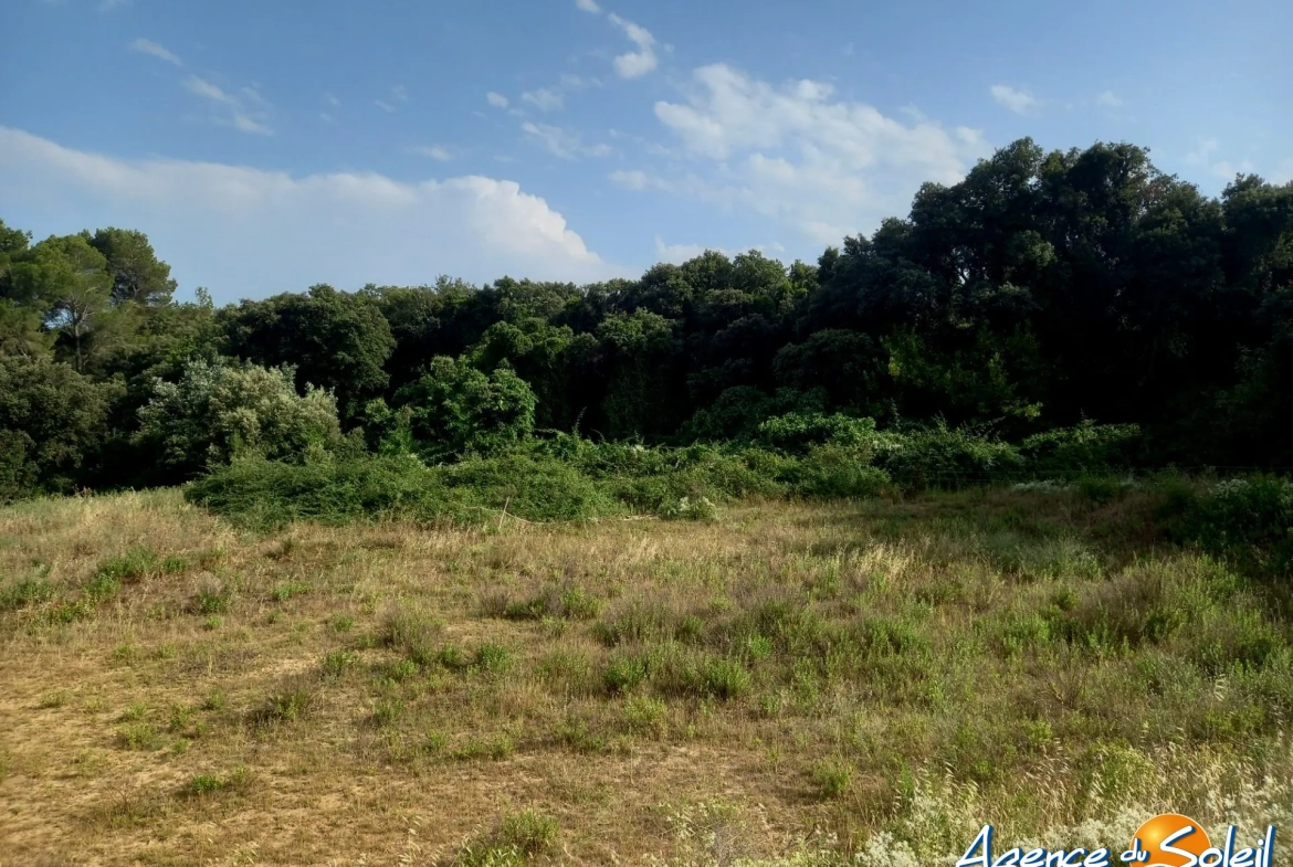 Terrain arboré non constructible à Paraza avec permis pour box, opportunité rare 
