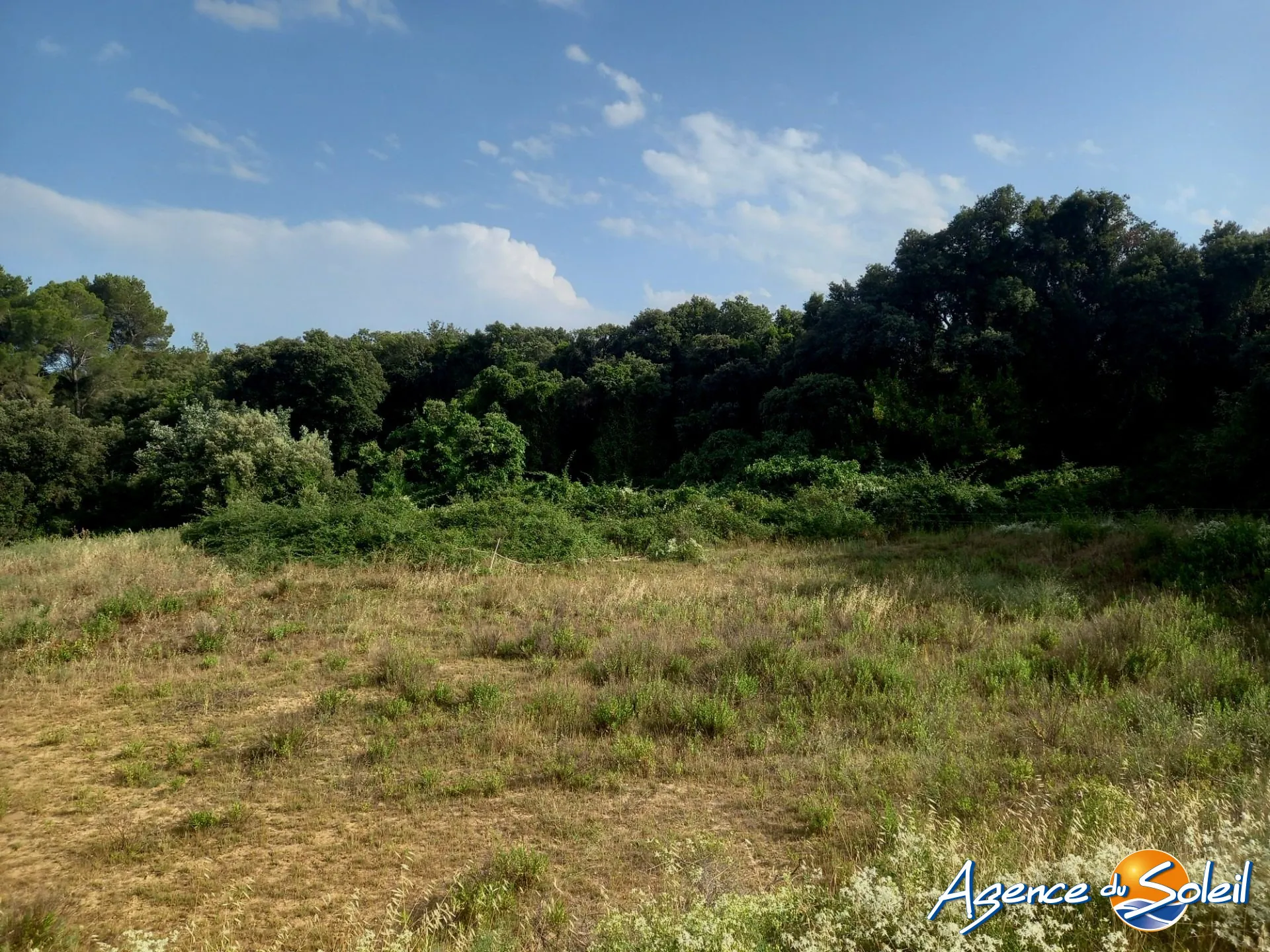 Terrain arboré non constructible à Paraza avec permis pour box, opportunité rare 