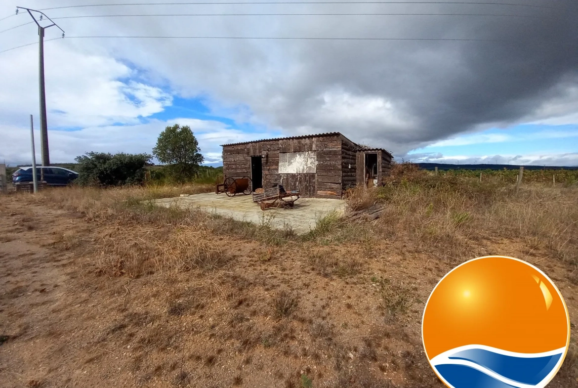 Terrain arboré non constructible à Paraza avec permis pour box, opportunité rare 