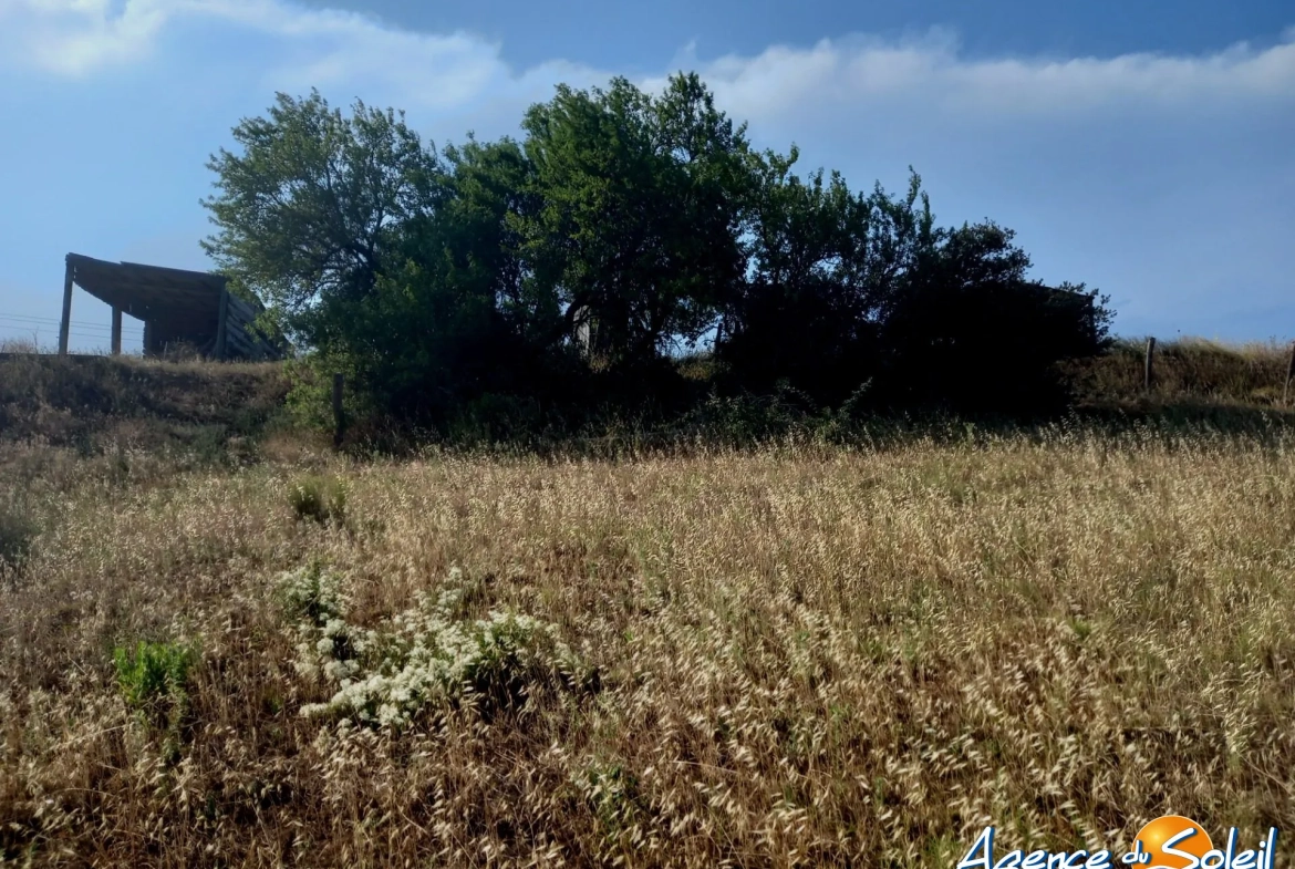Terrain arboré non constructible à Paraza avec permis pour box, opportunité rare 