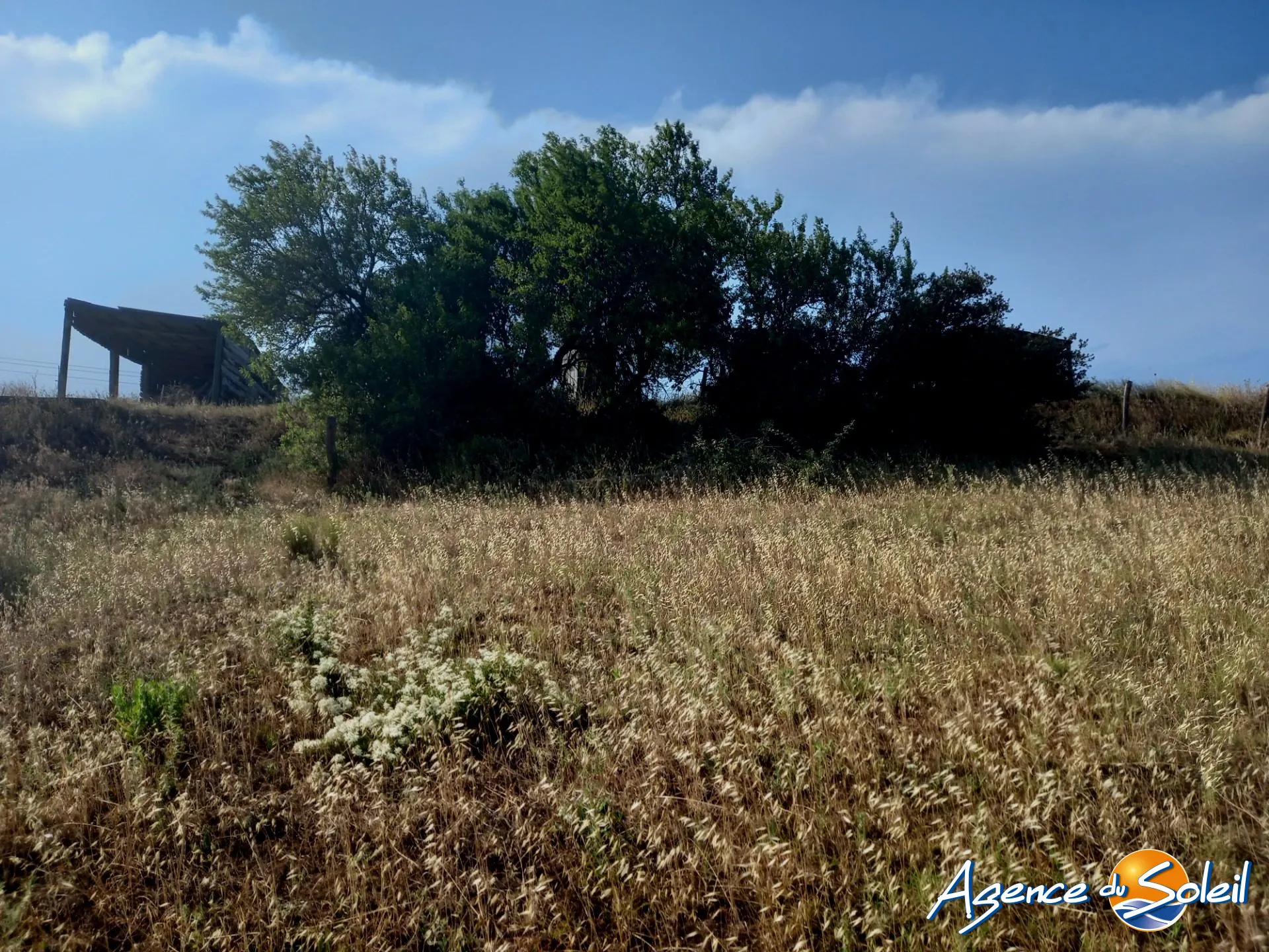 Terrain arboré non constructible à Paraza avec permis pour box, opportunité rare 
