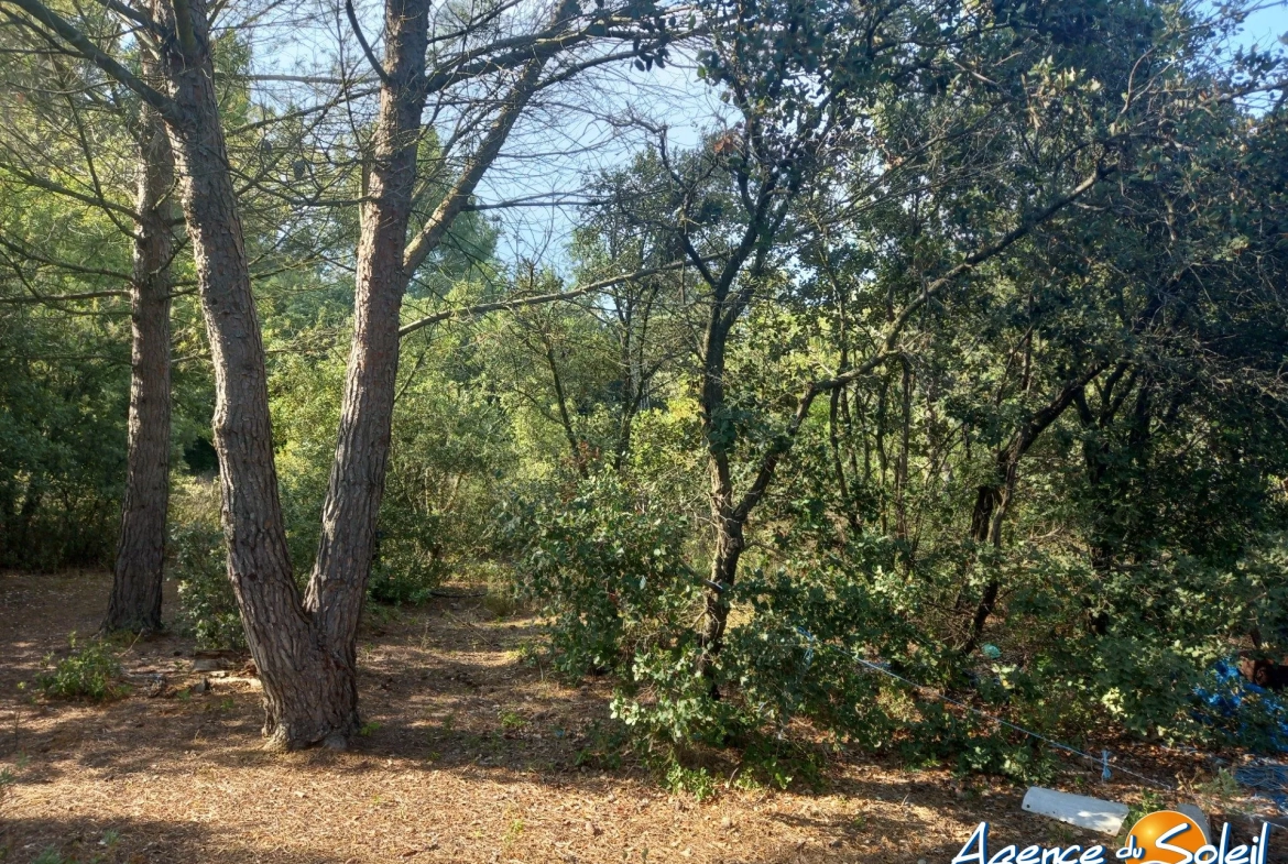 Terrain arboré non constructible à Paraza avec permis pour box, opportunité rare 
