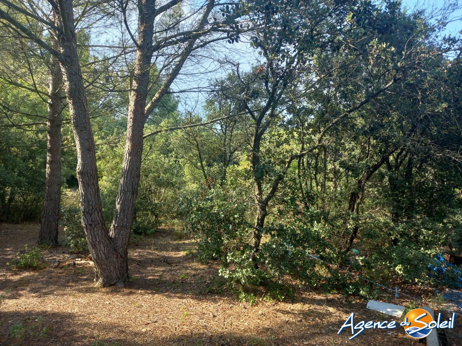 Terrain arboré non constructible à Paraza avec permis pour box, opportunité rare 