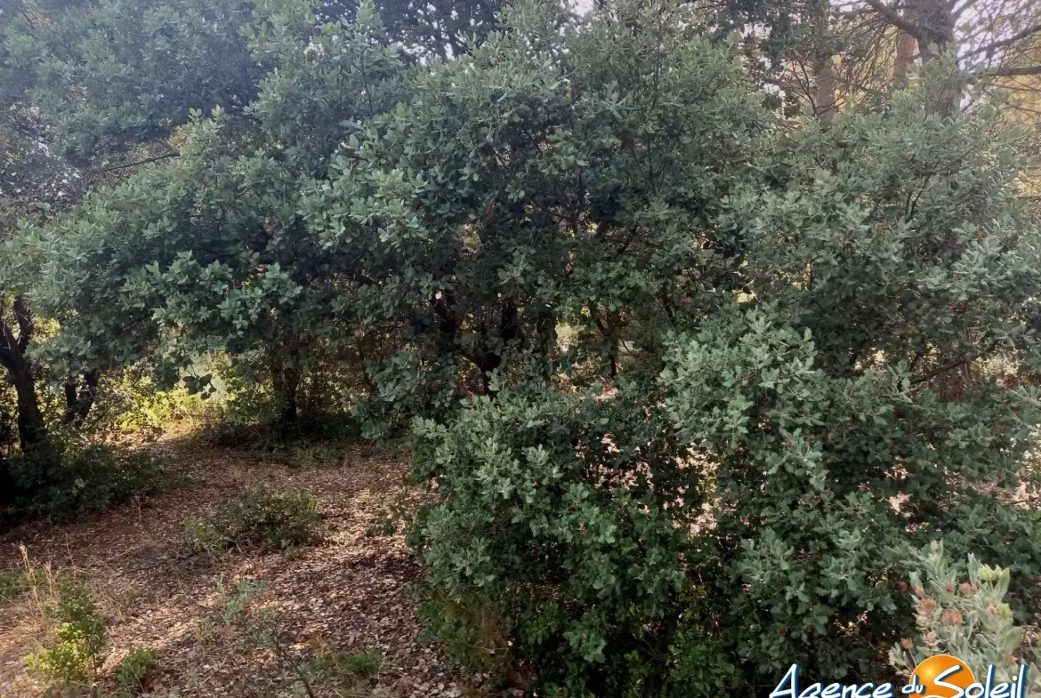 Terrain arboré non constructible à Paraza avec permis pour box, opportunité rare 