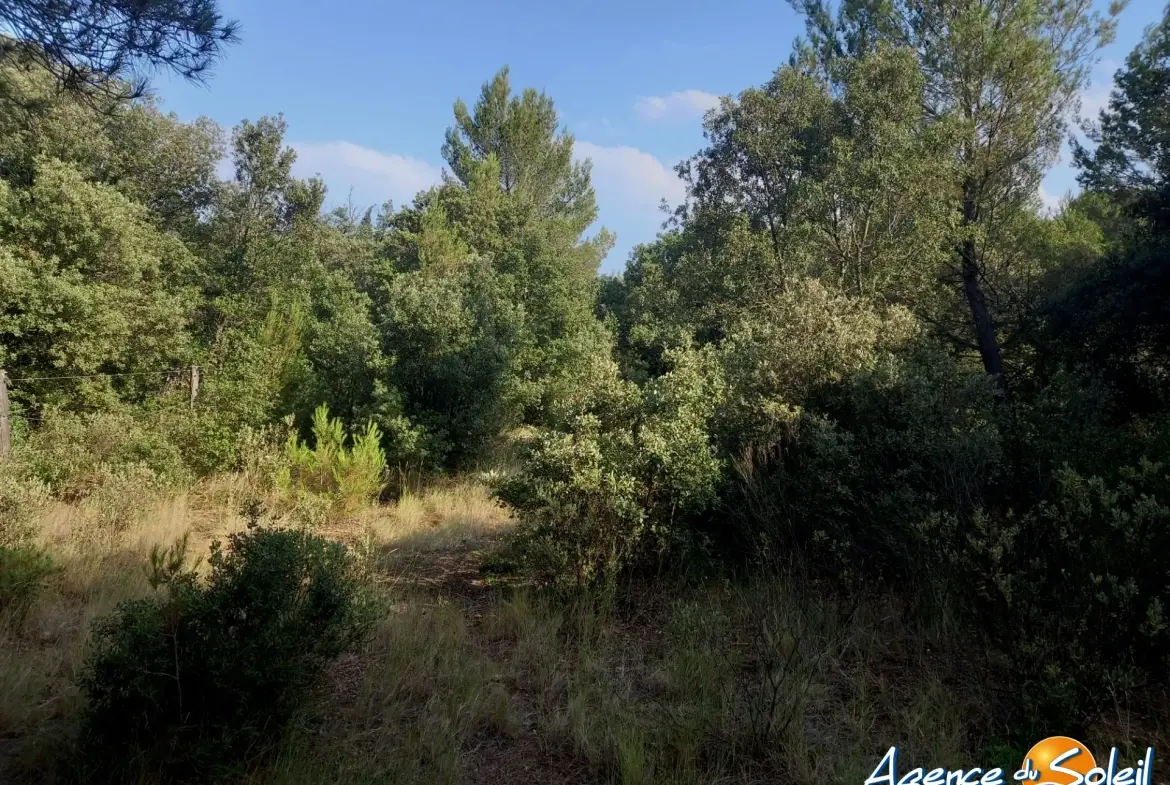 Terrain arboré non constructible à Paraza avec permis pour box, opportunité rare 