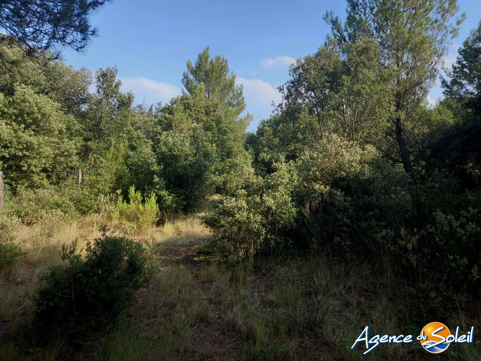 Terrain arboré non constructible à Paraza avec permis pour box, opportunité rare 