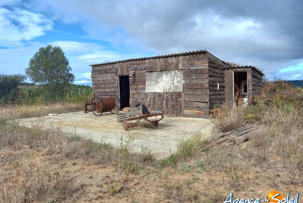 Terrain arboré non constructible à Paraza avec permis pour box, opportunité rare 