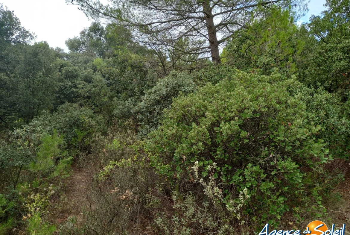 Terrain arboré non constructible à Paraza avec permis pour box, opportunité rare 