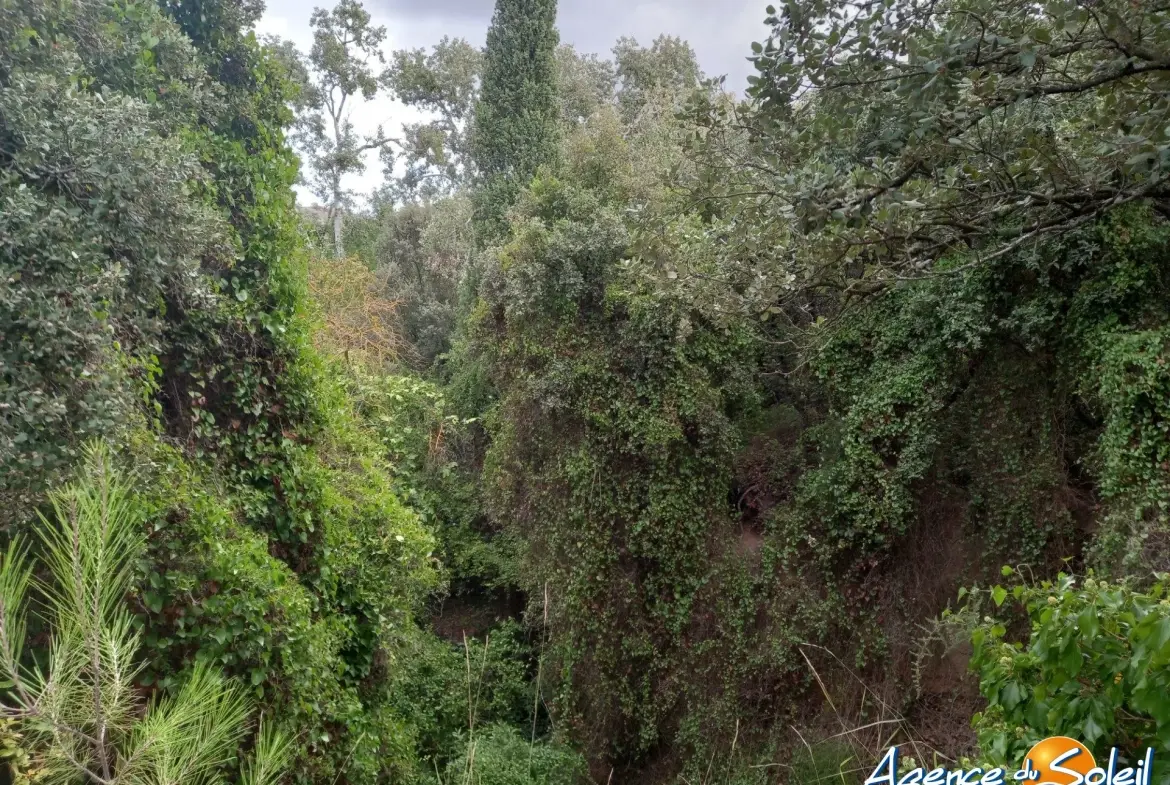 Terrain arboré non constructible à Paraza avec permis pour box, opportunité rare 