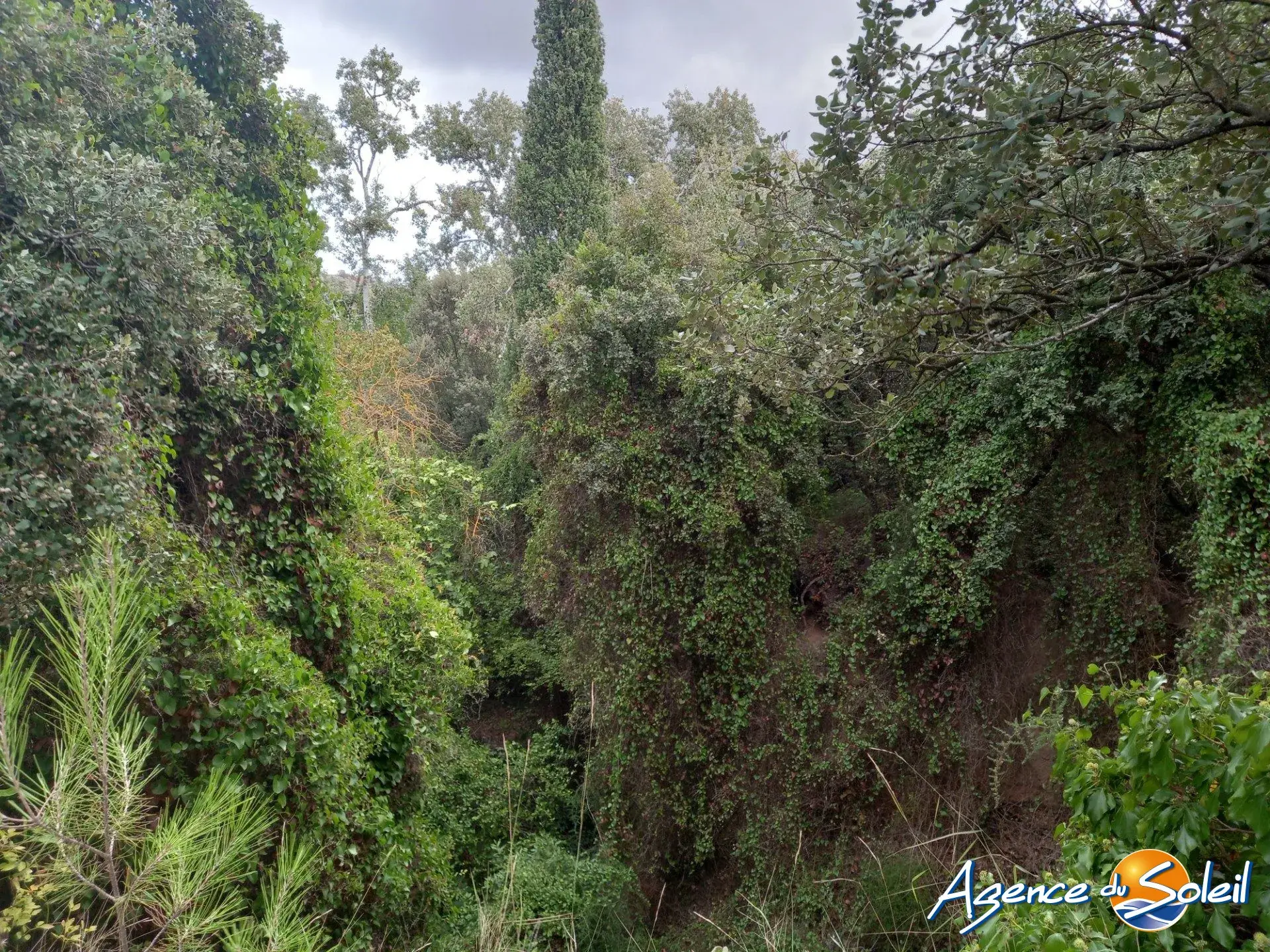 Terrain arboré non constructible à Paraza avec permis pour box, opportunité rare 
