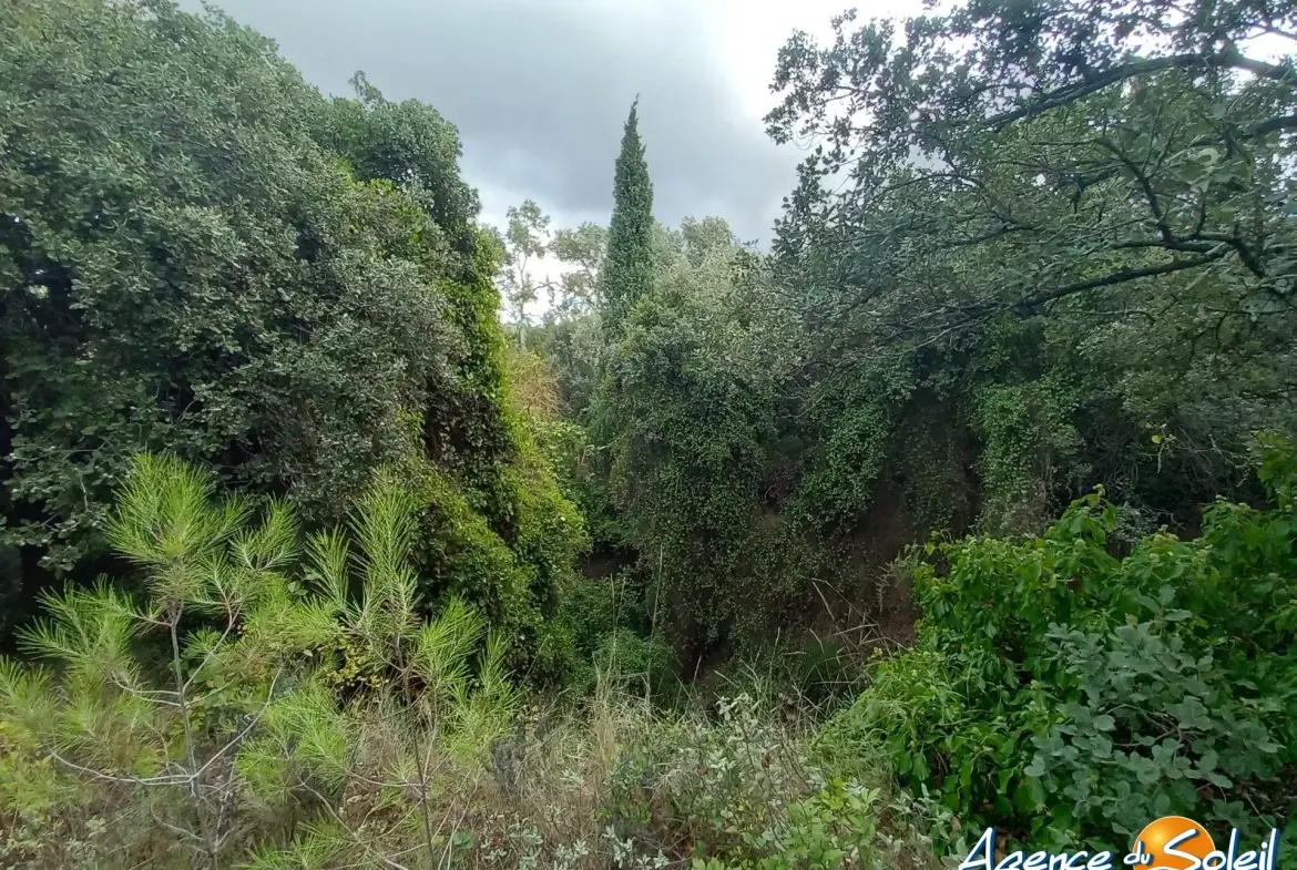 Terrain arboré non constructible à Paraza avec permis pour box, opportunité rare 