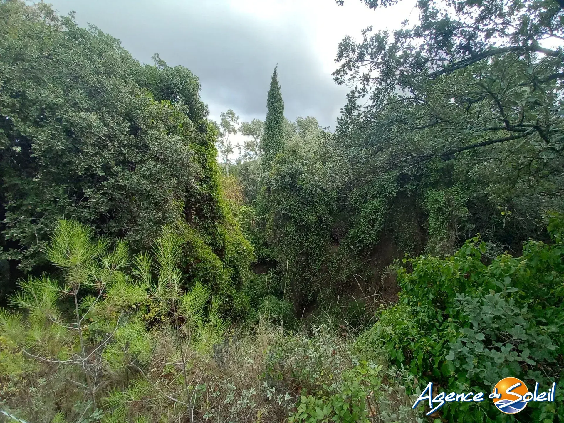 Terrain arboré non constructible à Paraza avec permis pour box, opportunité rare 