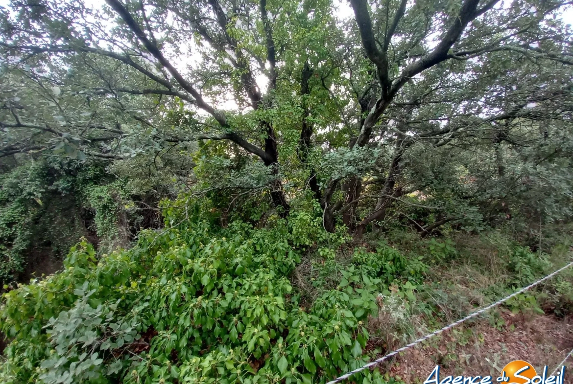 Terrain arboré non constructible à Paraza avec permis pour box, opportunité rare 