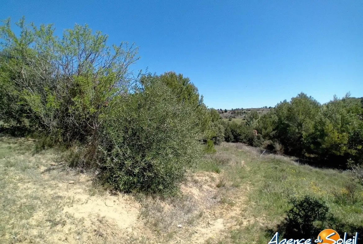 Terrain arboré non constructible à Paraza avec permis pour box, opportunité rare 