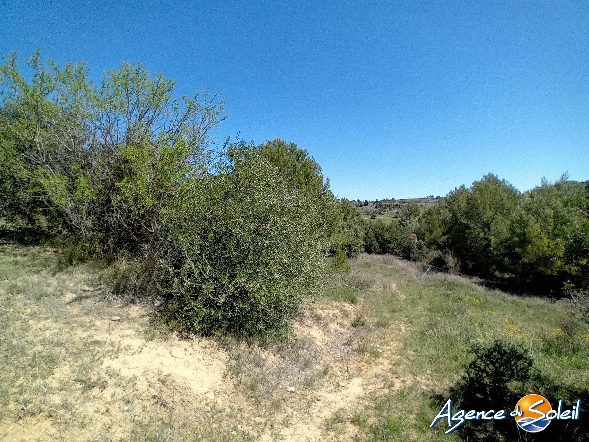 Terrain arboré non constructible à Paraza avec permis pour box, opportunité rare 