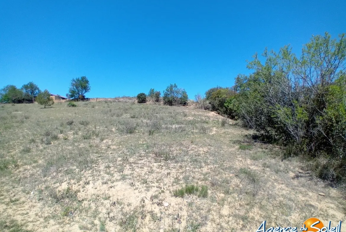 Terrain arboré non constructible à Paraza avec permis pour box, opportunité rare 