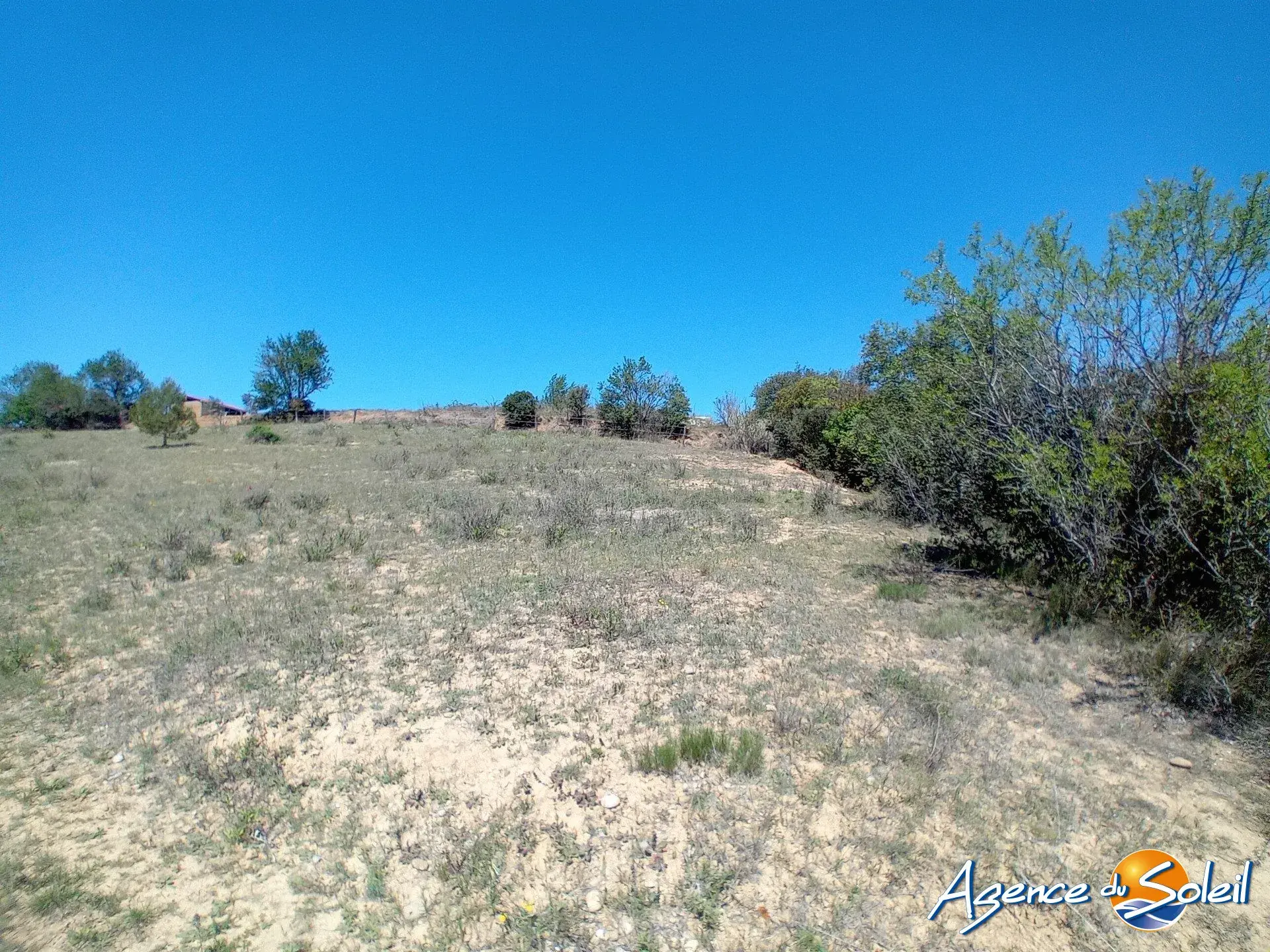 Terrain arboré non constructible à Paraza avec permis pour box, opportunité rare 
