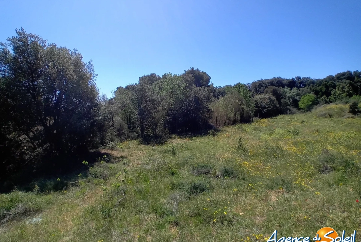 Terrain arboré non constructible à Paraza avec permis pour box, opportunité rare 