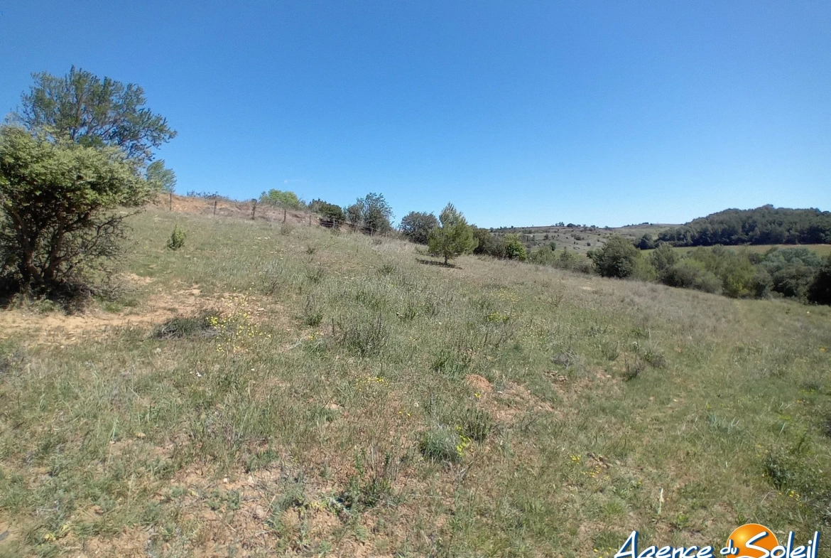 Terrain arboré non constructible à Paraza avec permis pour box, opportunité rare 