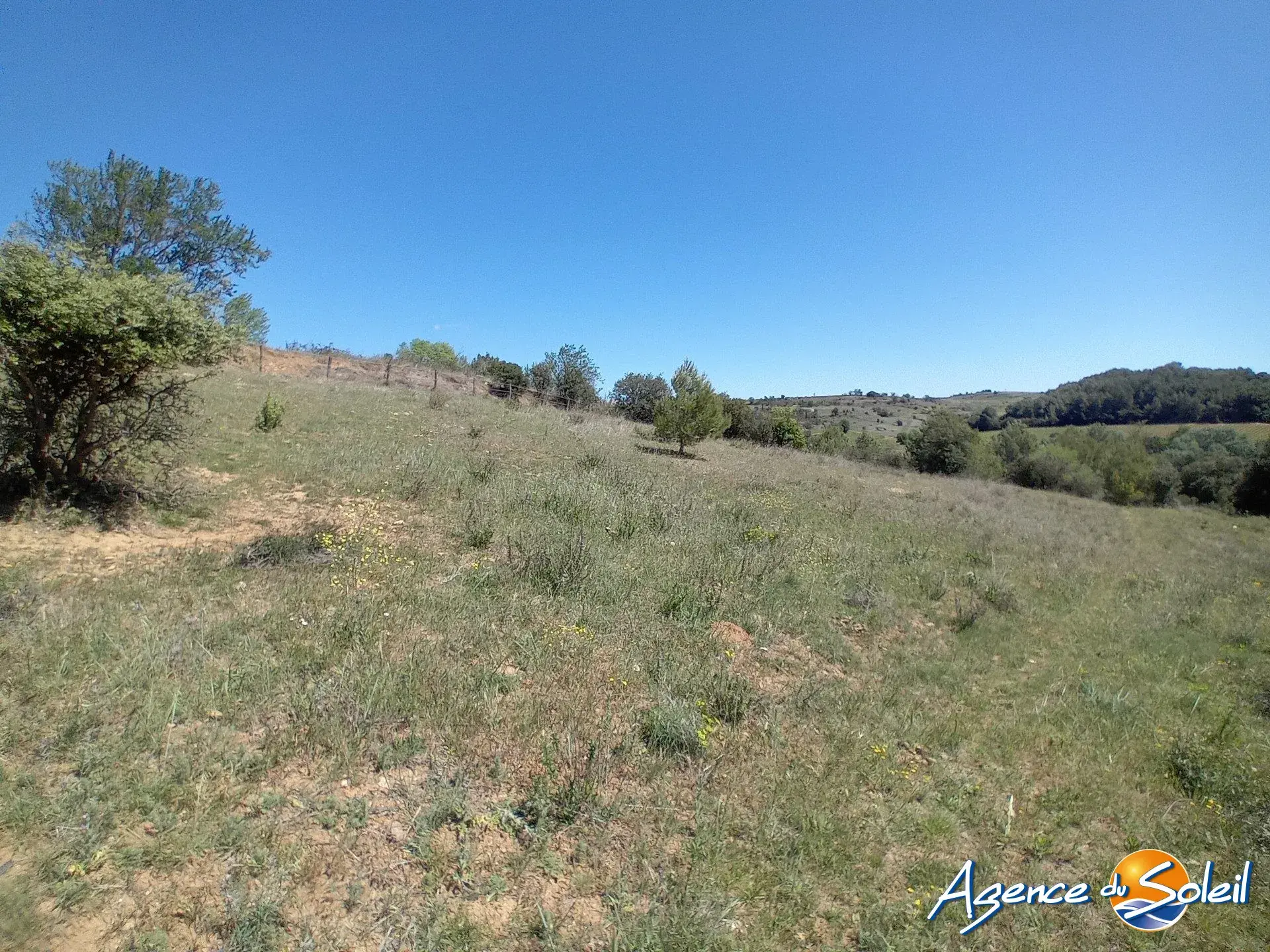 Terrain arboré non constructible à Paraza avec permis pour box, opportunité rare 