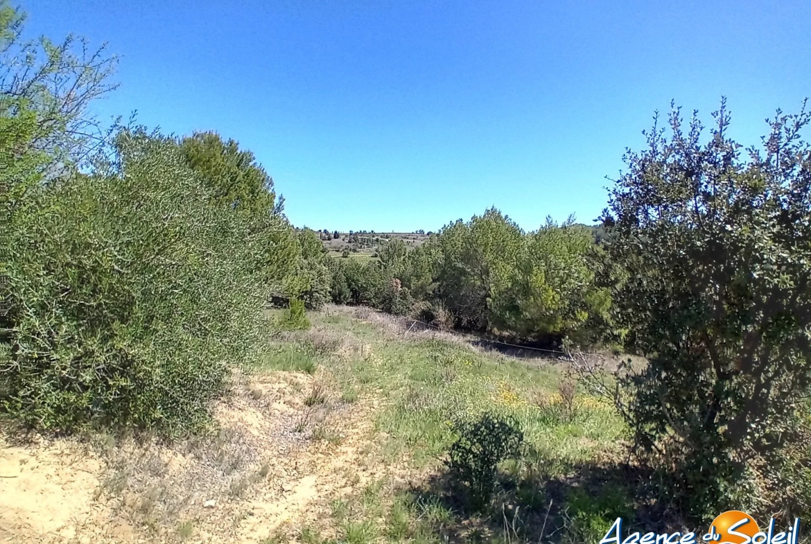 Terrain arboré non constructible à Paraza avec permis pour box, opportunité rare 