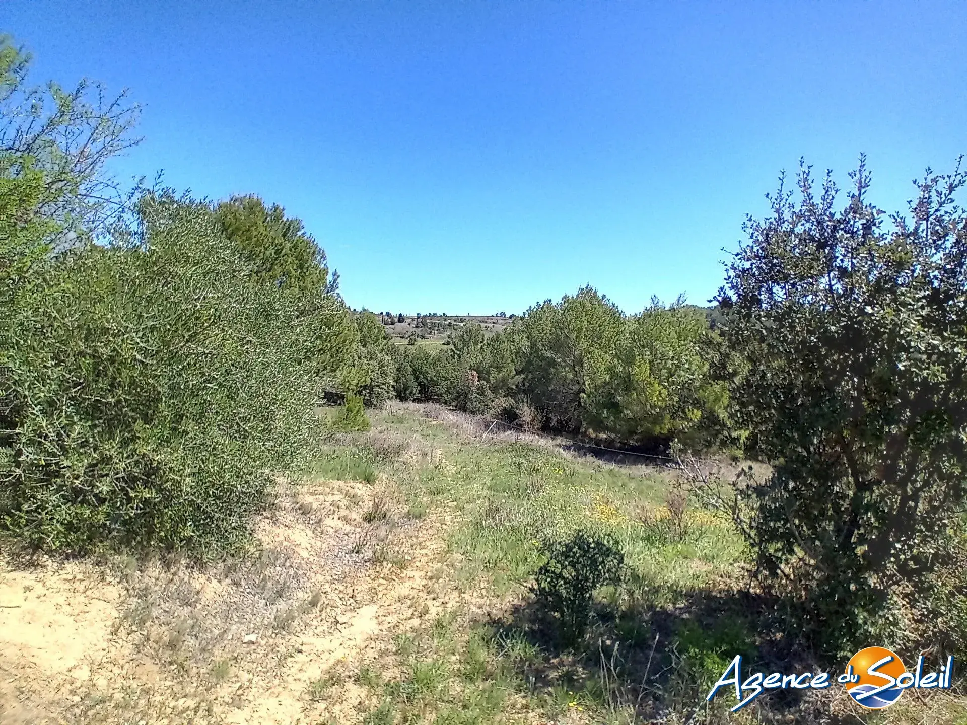 Terrain arboré non constructible à Paraza avec permis pour box, opportunité rare 